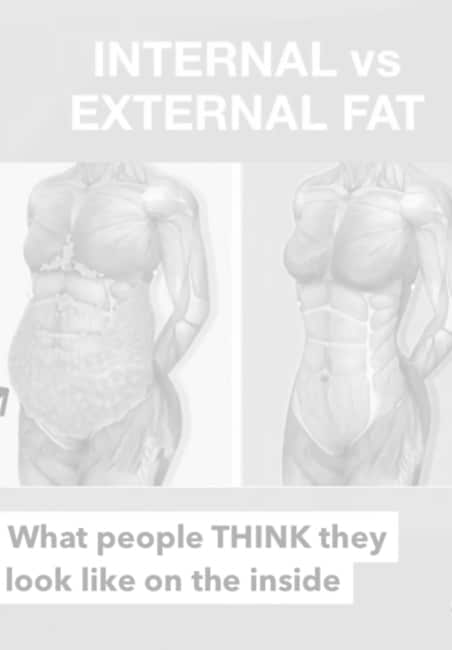 internal vs external fat before and after