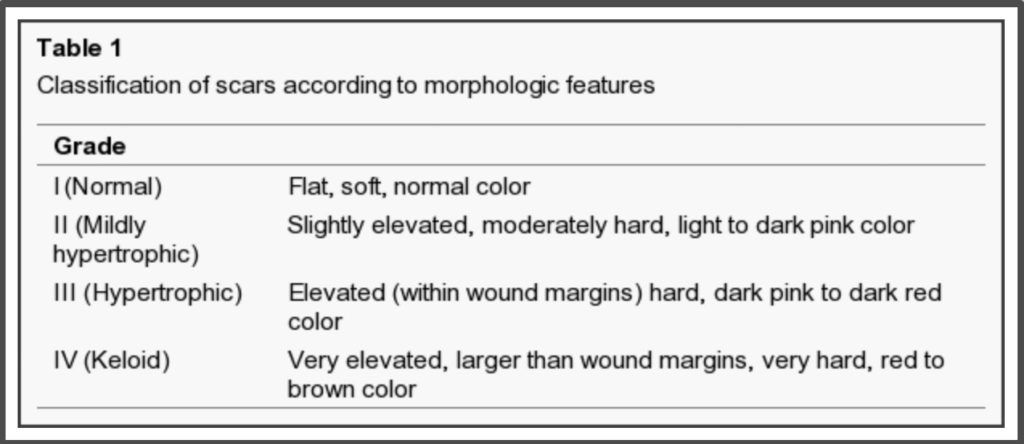 Sixsurgery Classification of Scars